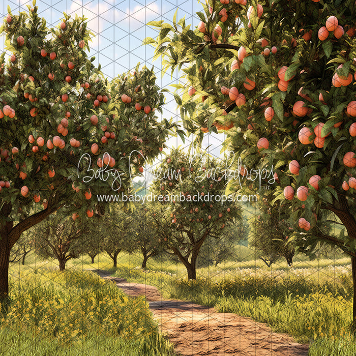 Peach Orchard Path (JA)
