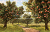Peach Orchard Path (JA)