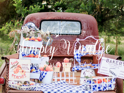 Peach Picnic 60hx80w  (Matte Fleece)