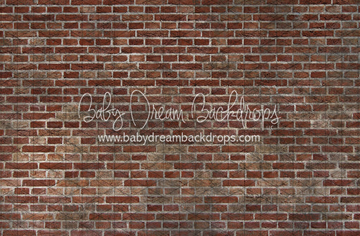 Peek a Boo Brick (JA)