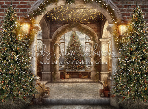 Peek A Boo Pine Entry (JA)