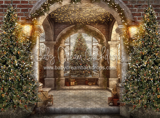 Peek A Boo Pine Entry (JA)