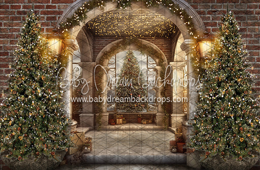 Peek A Boo Pine Entry (JA)