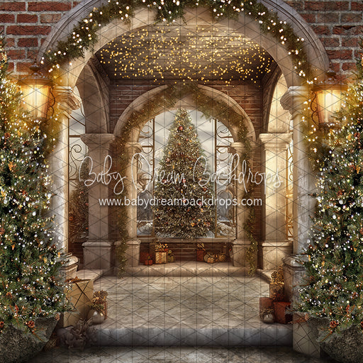 Peek A Boo Pine Entry (JA)