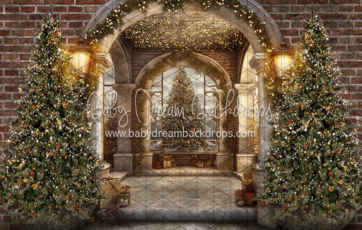 Peek A Boo Pine Entry (JA)