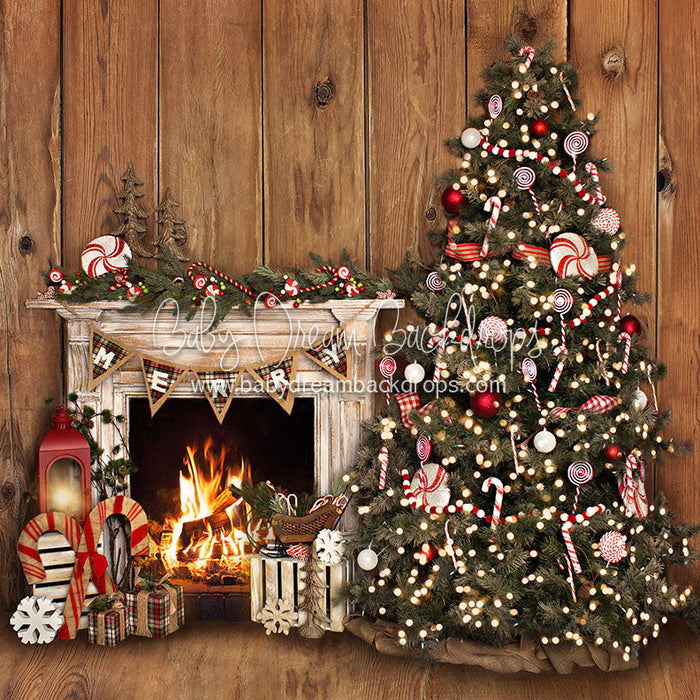 Peppermint Tree - 8x8 - JA 