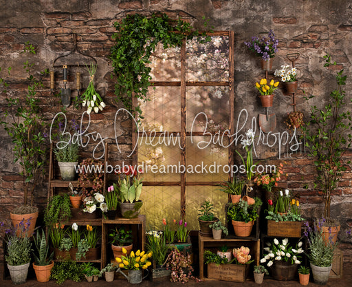 Perfect Potter Shed (JA)