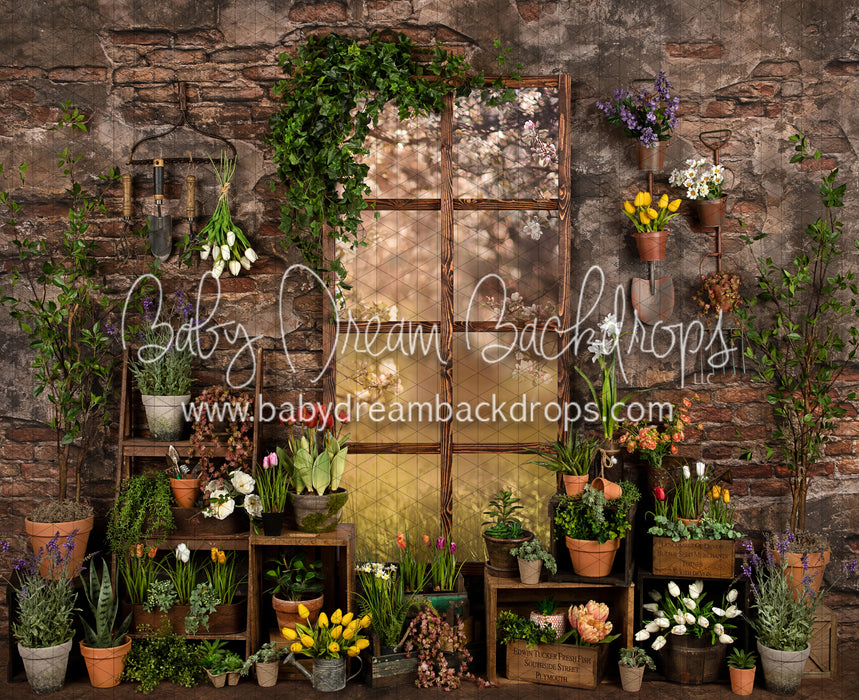 Perfect Potter Shed (JA)