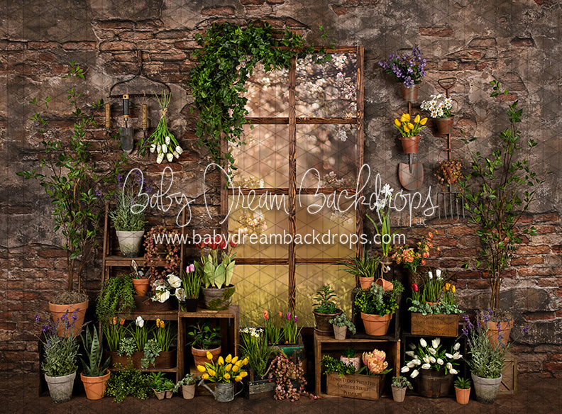 Perfect Potter Shed (JA)