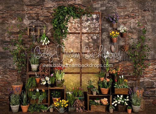 Perfect Potter Shed (JA)