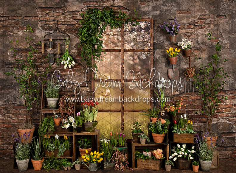 Perfect Potter Shed (JA)