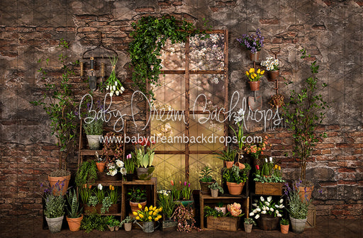 Perfect Potter Shed (JA)