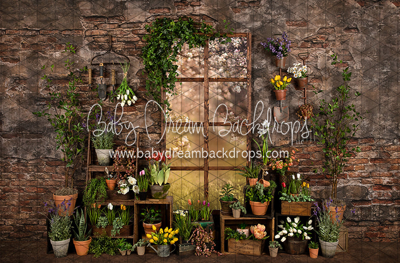 Perfect Potter Shed (JA)