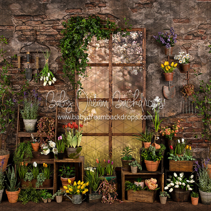 Perfect Potter Shed (JA)