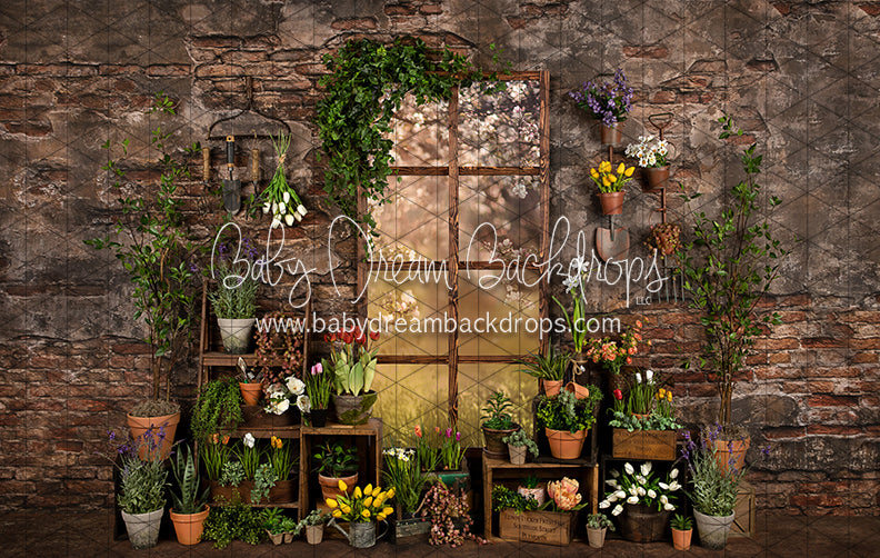 Perfect Potter Shed (JA)