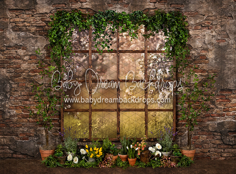 Perfect Potter Window (JA)