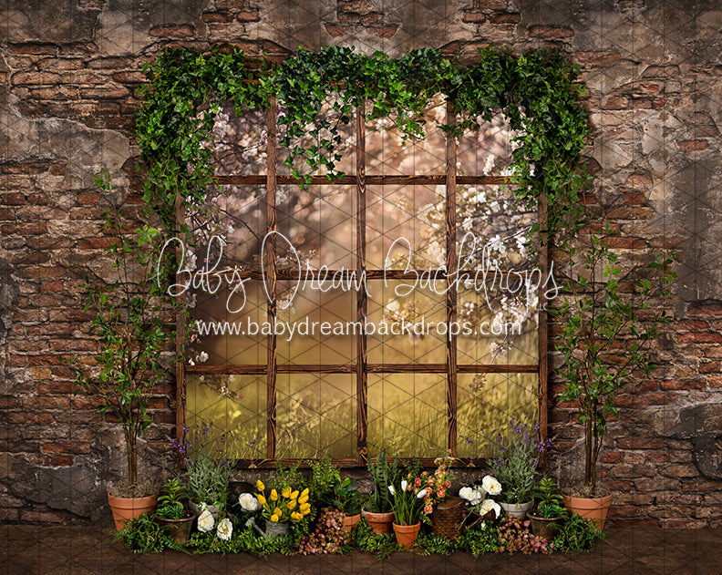 Perfect Potter Window (JA)