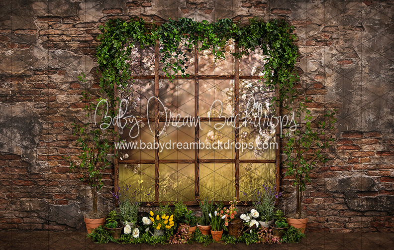 Perfect Potter Window (JA)