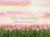 Perfectly Pink Tulips (CC)