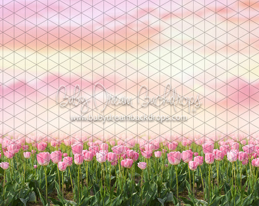 Perfectly Pink Tulips (CC)