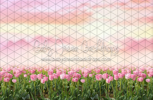 Perfectly Pink Tulips (CC)