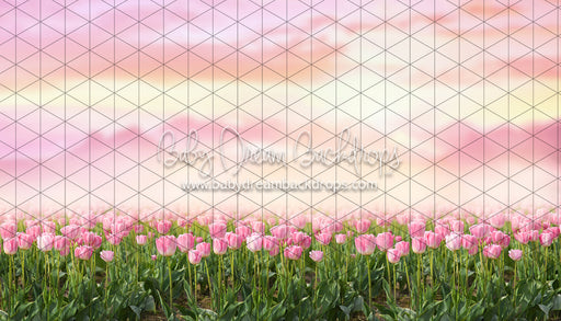 Perfectly Pink Tulips (CC)