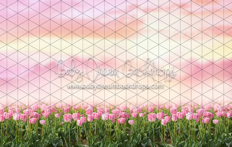 Perfectly Pink Tulips (CC)