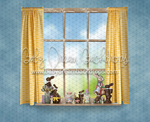 Peter Chocolate Tail Window (JA)