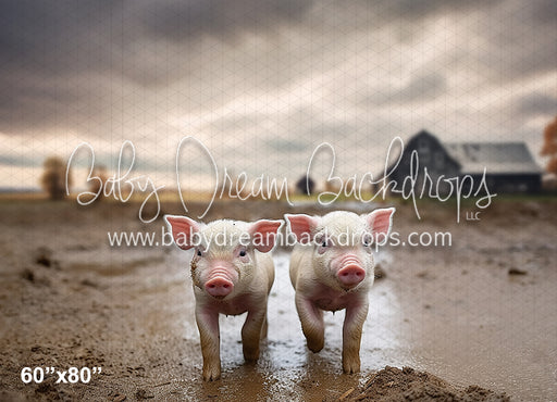 Piglets on the Farm (AZ)