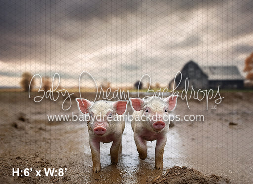 Piglets on the Farm (AZ)