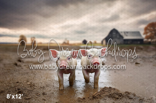 Piglets on the Farm (AZ)