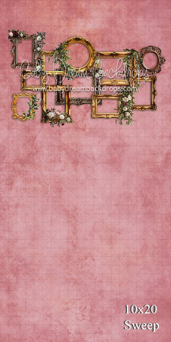 Pink Frame with Flowers (VR)