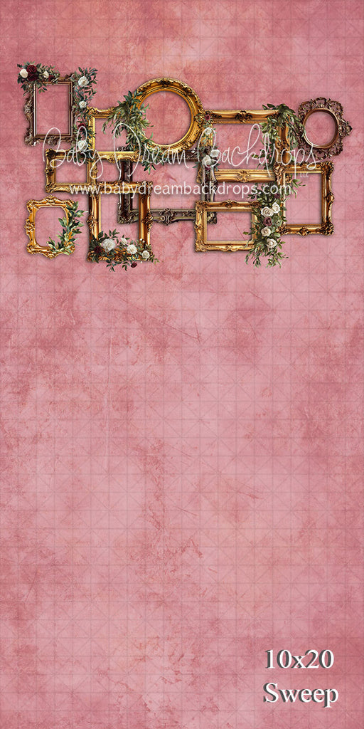 Pink Frame with Flowers (VR)