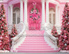 Pink House Christmas Ready (BD)