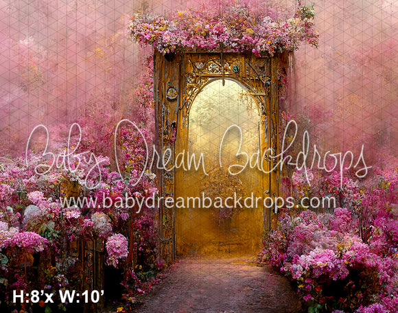 Pink Doorway Enchantment (VR)