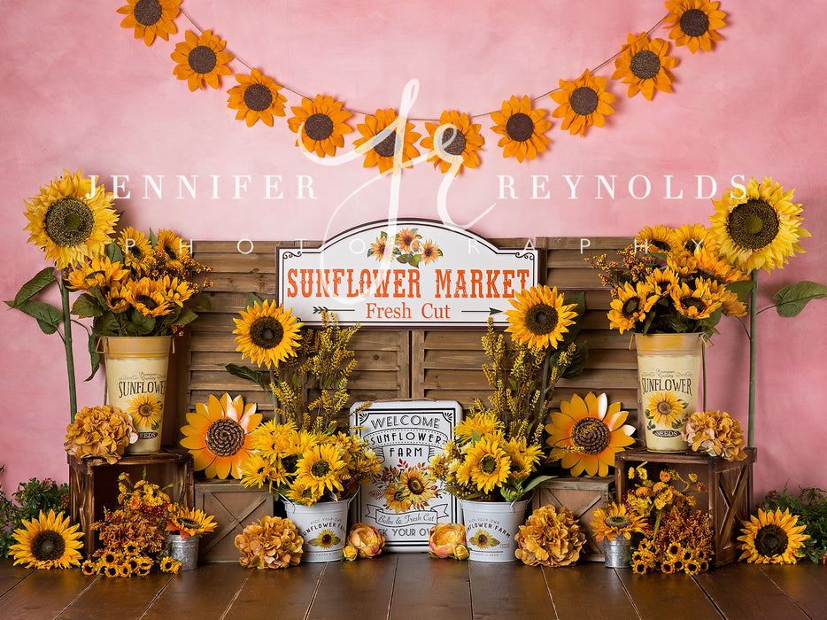 Pink Market Sunflower