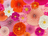 Pinwheels And Petals Pink And Orange 6x8 SD  