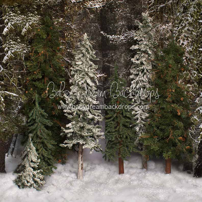 Place in the Pines Simple