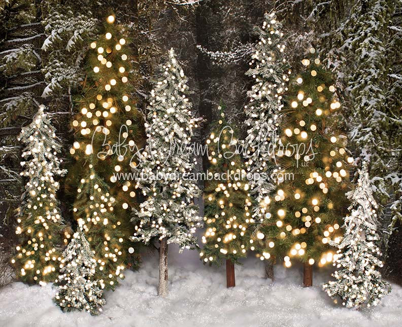 Place in the Pines Simple (Lights)