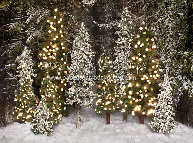 Place in the Pines Simple (Lights)