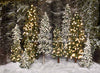 Place in the Pines Simple (Lights)