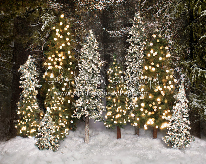 Place in the Pines Simple (Lights)