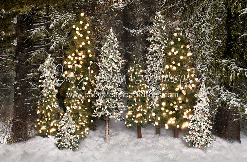 Place in the Pines Simple (Lights)