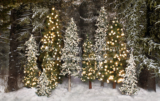 Place in the Pines Simple (Lights)