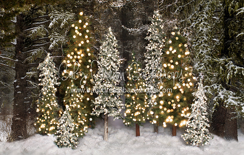 Place in the Pines Simple (Lights)