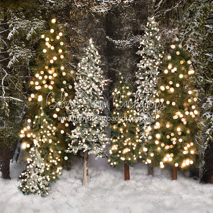 X Drop place in the pines simple lights