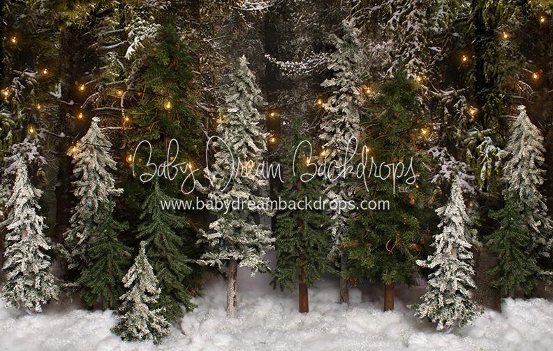 X Drop place in the pines string lights