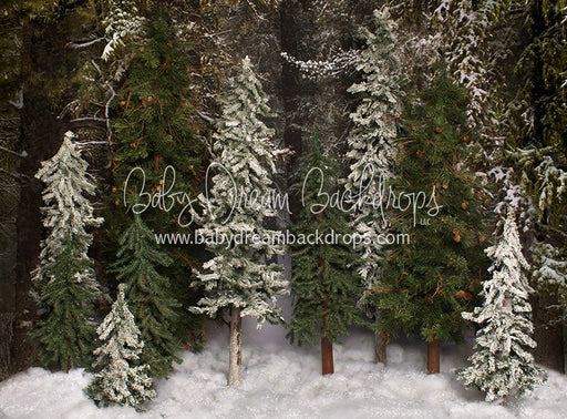 Place in the Pines Simple - 60Hx80W - JA  