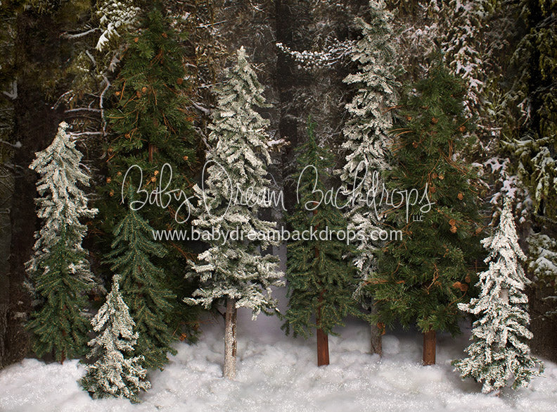 Place in the Pines Simple - 6x8 - JA  