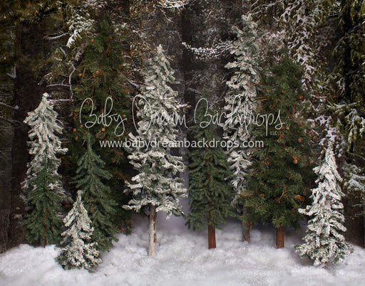 Place in the Pines Simple - 8x10 - JA